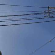 ヒメ日記 2026/03/30 14:44 投稿 ゆら 柏人妻花壇