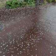 ヒメ日記 2026/04/04 15:50 投稿 ゆら 柏人妻花壇