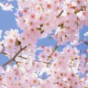 ヒメ日記 2026/03/12 16:41 投稿 みや 熟女の風俗最終章 本厚木店