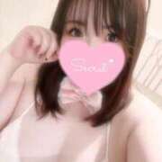 ヒメ日記 2024/12/23 12:38 投稿 ボタンエビ　牡丹海老 女の子市場