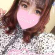 ヒメ日記 2024/12/23 19:38 投稿 ボタンエビ　牡丹海老 女の子市場