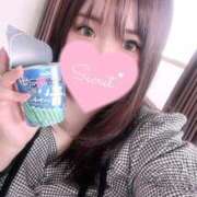 ヒメ日記 2025/03/16 13:16 投稿 ボタンエビ　牡丹海老 女の子市場