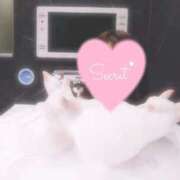 ヒメ日記 2025/03/21 20:18 投稿 ボタンエビ　牡丹海老 女の子市場