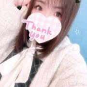 ヒメ日記 2025/11/24 09:08 投稿 ボタンエビ　牡丹海老 女の子市場