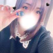 ヒメ日記 2025/12/14 17:08 投稿 ボタンエビ　牡丹海老 女の子市場