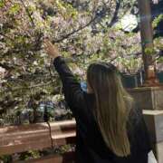 ヒメ日記 2026/04/12 12:40 投稿 ここあ アロー