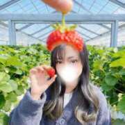 ヒメ日記 2026/06/10 12:18 投稿 ここあ アロー