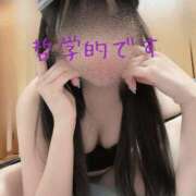 ヒメ日記 2025/06/02 23:53 投稿 こよ 秋葉原ハンドメイド