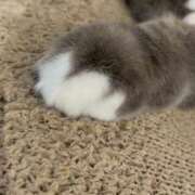 ヒメ日記 2025/05/11 21:22 投稿 あずさ 大阪はまちゃん 谷九店