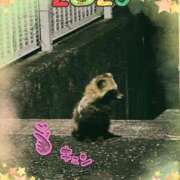 ヒメ日記 2025/01/14 23:05 投稿 れい 奥様鉄道69 東京店