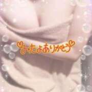 ヒメ日記 2025/01/31 10:05 投稿 れい 奥様鉄道69 東京店