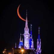 ヒメ日記 2025/09/08 02:35 投稿 れい 奥様鉄道69 東京店