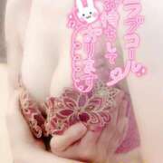 ヒメ日記 2025/04/04 16:45 投稿 山下つばさ イエスグループ熊本 華女