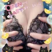 ヒメ日記 2025/04/08 16:45 投稿 山下つばさ イエスグループ熊本 華女