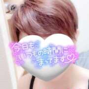 ヒメ日記 2025/04/16 16:45 投稿 山下つばさ イエスグループ熊本 華女