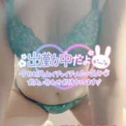 ヒメ日記 2025/04/30 16:45 投稿 山下つばさ イエスグループ熊本 華女