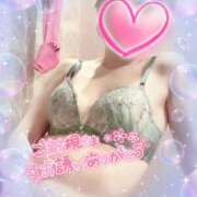 ヒメ日記 2025/05/03 00:36 投稿 山下つばさ イエスグループ熊本 華女