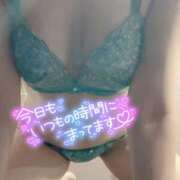 ヒメ日記 2025/05/08 16:45 投稿 山下つばさ イエスグループ熊本 華女