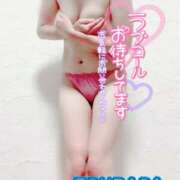 ヒメ日記 2025/05/15 15:32 投稿 山下つばさ イエスグループ熊本 華女