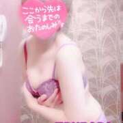 ヒメ日記 2025/08/24 17:42 投稿 山下つばさ イエスグループ熊本 華女