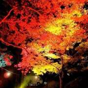 ヒメ日記 2025/12/07 17:09 投稿 山下つばさ イエスグループ熊本 華女