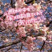 ヒメ日記 2026/02/08 22:33 投稿 山下つばさ イエスグループ熊本 華女