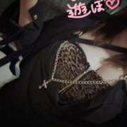 ヒメ日記 2025/05/30 19:25 投稿 しほ【業界未経験】 茨城水戸ちゃんこ