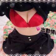 ヒメ日記 2025/06/23 13:55 投稿 しほ【業界未経験】 茨城水戸ちゃんこ