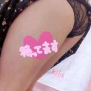 ヒメ日記 2025/09/04 16:45 投稿 しほ【業界未経験】 茨城水戸ちゃんこ