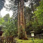 ヒメ日記 2026/09/25 15:05 投稿 しほ【業界未経験】 茨城水戸ちゃんこ