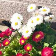 ヒメ日記 2025/02/27 14:19 投稿 つき 出会い系人妻ネットワーク 春日部〜岩槻編