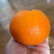 ヒメ日記 2025/03/26 09:44 投稿 つき 出会い系人妻ネットワーク 春日部〜岩槻編