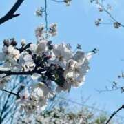 ヒメ日記 2025/03/30 21:04 投稿 つき 出会い系人妻ネットワーク 春日部〜岩槻編