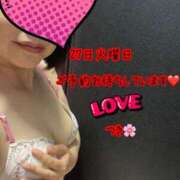 ヒメ日記 2025/05/24 10:42 投稿 つき 出会い系人妻ネットワーク 春日部〜岩槻編