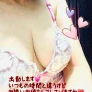 ヒメ日記 2025/05/27 13:09 投稿 つき 出会い系人妻ネットワーク 春日部〜岩槻編