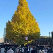 ヒメ日記 2024/12/08 23:09 投稿 つき 出会い系人妻ネットワーク さいたま～大宮編