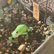 ヒメ日記 2025/01/14 19:39 投稿 つき 出会い系人妻ネットワーク さいたま～大宮編