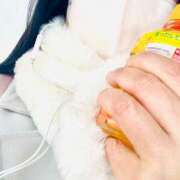 ヒメ日記 2025/02/12 09:37 投稿 つき 出会い系人妻ネットワーク さいたま～大宮編