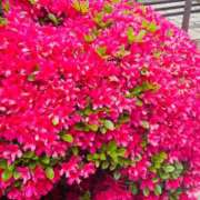 ヒメ日記 2025/04/22 15:08 投稿 つき 出会い系人妻ネットワーク さいたま～大宮編