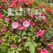 ヒメ日記 2025/05/21 22:53 投稿 つき 出会い系人妻ネットワーク さいたま～大宮編