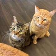 ヒメ日記 2026/01/21 13:31 投稿 日向坂りおん ウルトラプラチナム