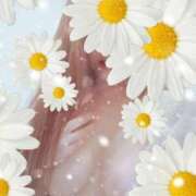 ヒメ日記 2024/12/18 21:01 投稿 西島こころ MADAM