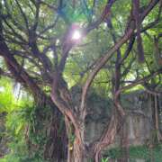 ヒメ日記 2024/12/13 09:46 投稿 塚田まゆな MADAM