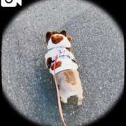 ヒメ日記 2025/12/06 12:01 投稿 塚田まゆな MADAM