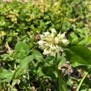 ヒメ日記 2024/12/09 05:31 投稿 仁科ゆりか MADAM