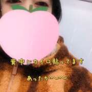 ヒメ日記 2025/12/14 05:46 投稿 仁科ゆりか MADAM