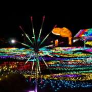 ヒメ日記 2025/01/07 19:46 投稿 藤島りょうこ MADAM