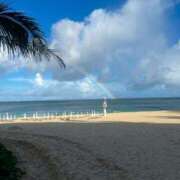 ヒメ日記 2024/12/14 06:01 投稿 吉川ひとみ MADAM