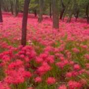 ヒメ日記 2024/10/07 07:31 投稿 早見ゆりあ MADAM