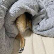 ヒメ日記 2024/12/11 12:17 投稿 木下あけみ MADAM